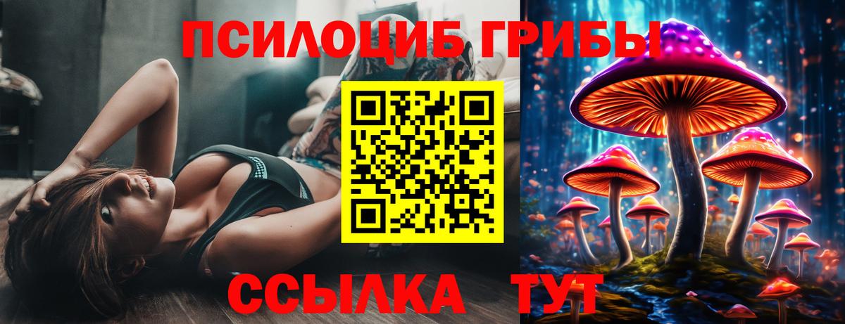 Псилоцибиновые грибы прущие грибы Изобильный